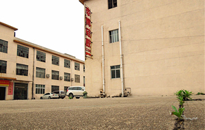 “論實(shí)力說話”專業(yè)硅膠制品廠家！