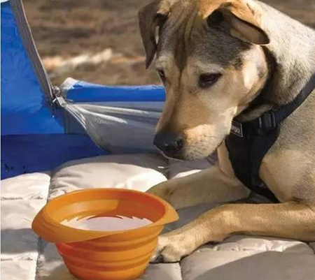 東莞<a href='http://www.105u.cn/' class='keys' title='點(diǎn)擊查看關(guān)于帝博硅膠制品廠的相關(guān)信息' target='_blank'>帝博硅膠制品廠</a>