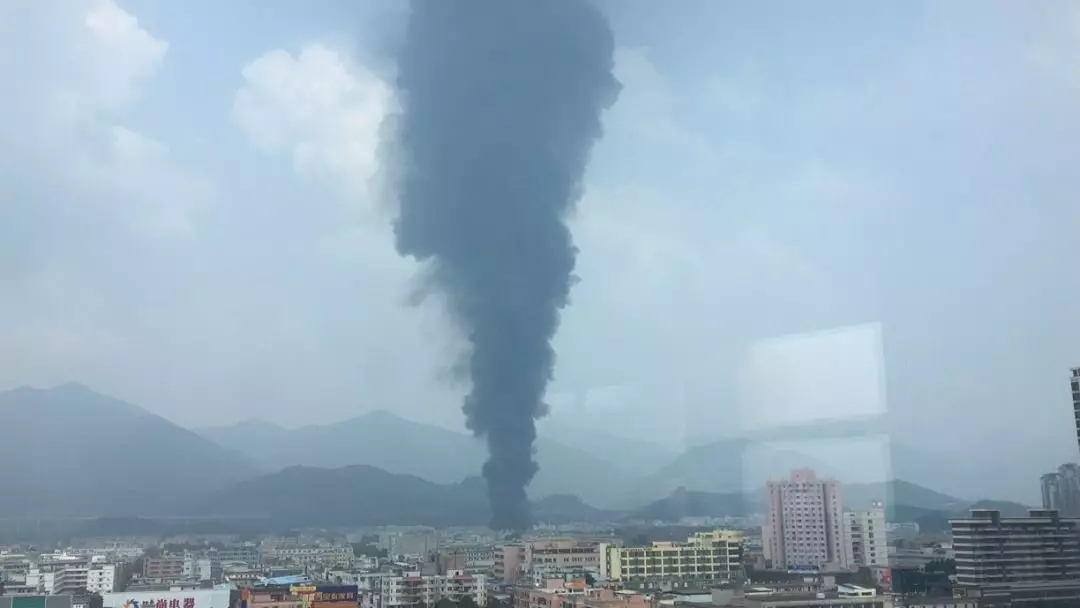 64042.webp.jpg 64042.webp.jpg